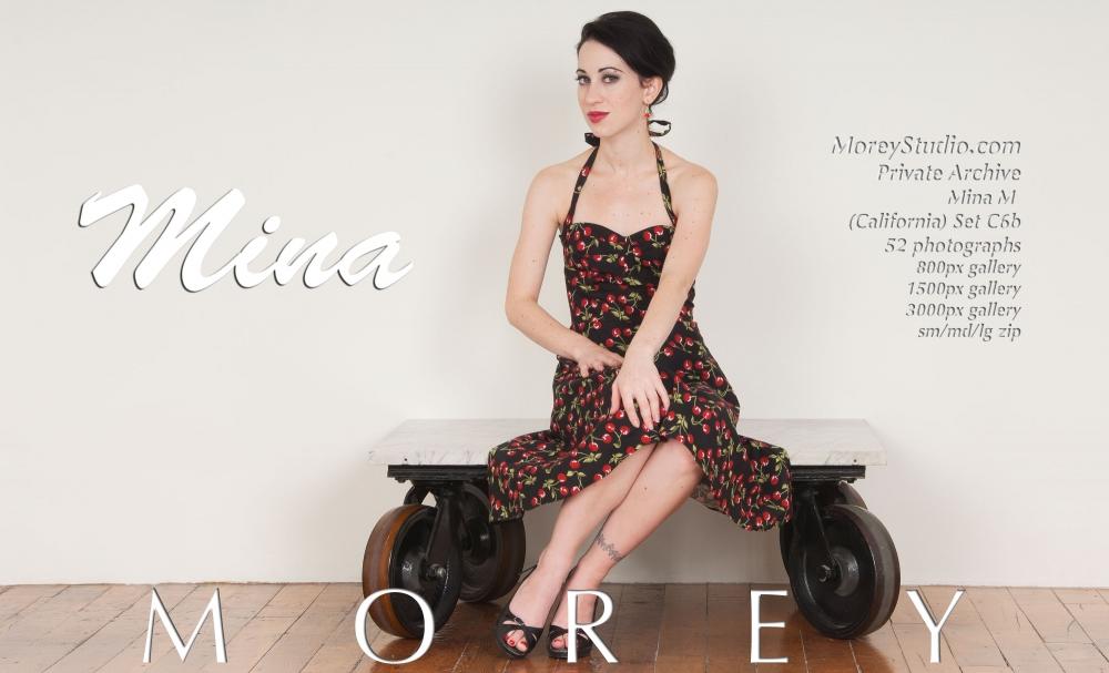 Brunette model Mina M shows you what's under her dress #59566625