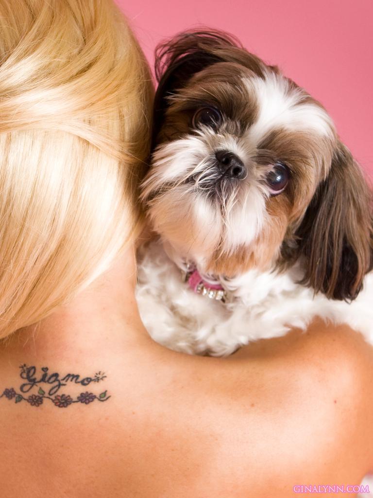 Foto di condivide la sua bellezza in un pezzo artistico con un cane carino cucciolo
 #54525537