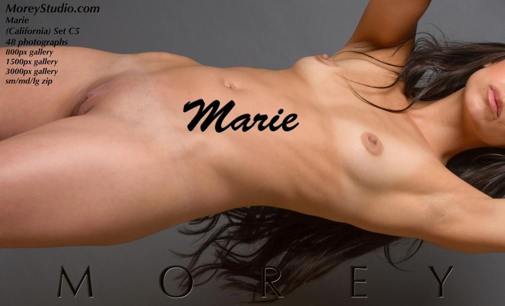 Brunette model Marie shows off her nude body in the studio #60621593