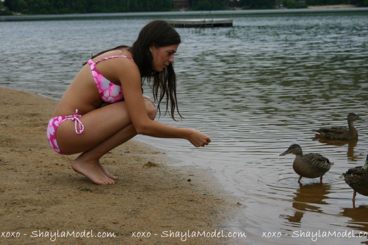 Immagini di ragazza giovane modello shayla guardando caldo in un bikini
 #59964430