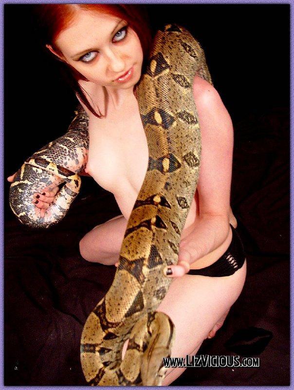 Liz juega con una serpiente
 #59037460