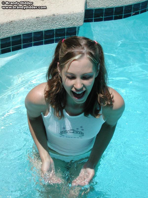 Brandy didder in the pool #53484046