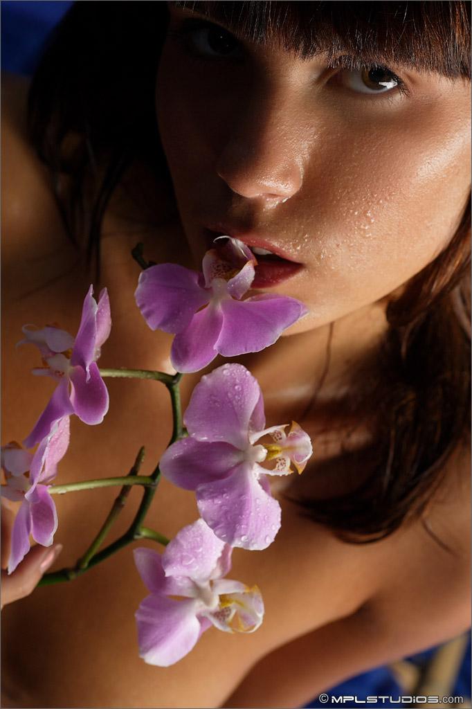 Mpl studios presenta a nata en "orchid night"
 #59656789