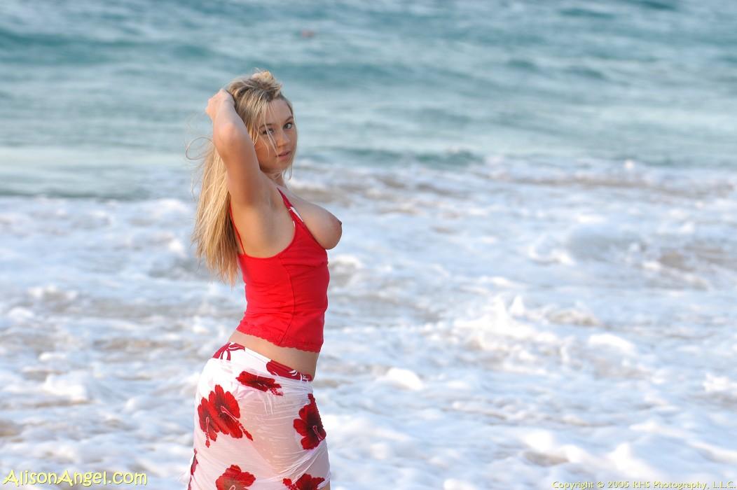 Pictures of teen girl Alison Angel flashing her tits on a beach #53006541