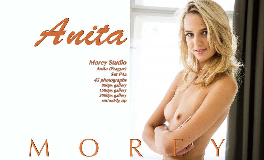 Blondine Anita zieht sich aus und zeigt ihren heißen nackten Körper für Sie
 #60133503
