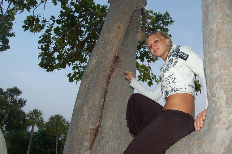 Immagini di sexy lette arrampicarsi su un albero topless
 #59952396