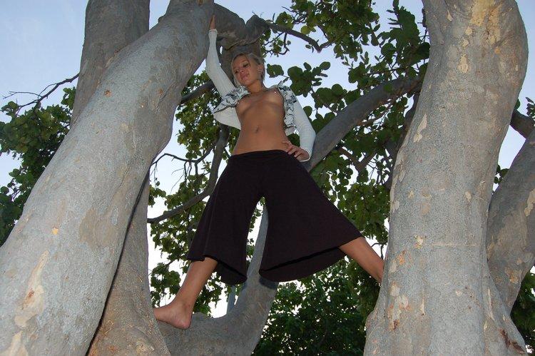 Bilder von sexy lette, die oben ohne auf einen Baum klettert
 #59952420