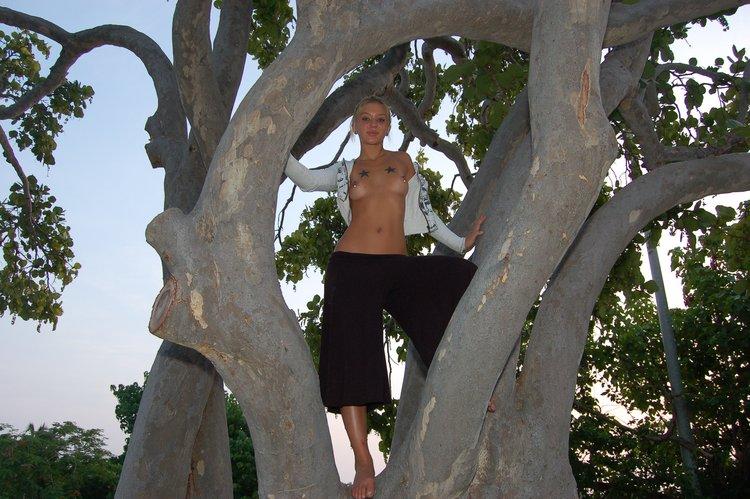 Bilder von sexy lette, die oben ohne auf einen Baum klettert
 #59952436
