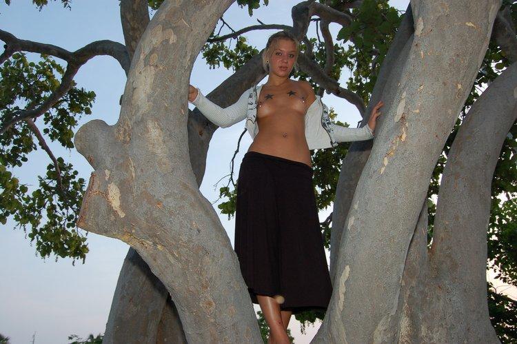 Bilder von sexy lette, die oben ohne auf einen Baum klettert
 #59952441