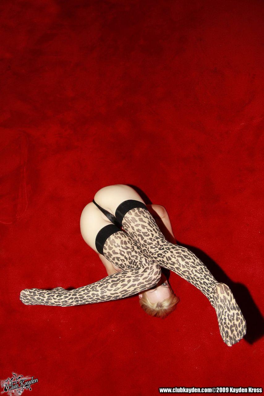 Pictures of teen Kayden Kross teasing in leopard stockings #58170908