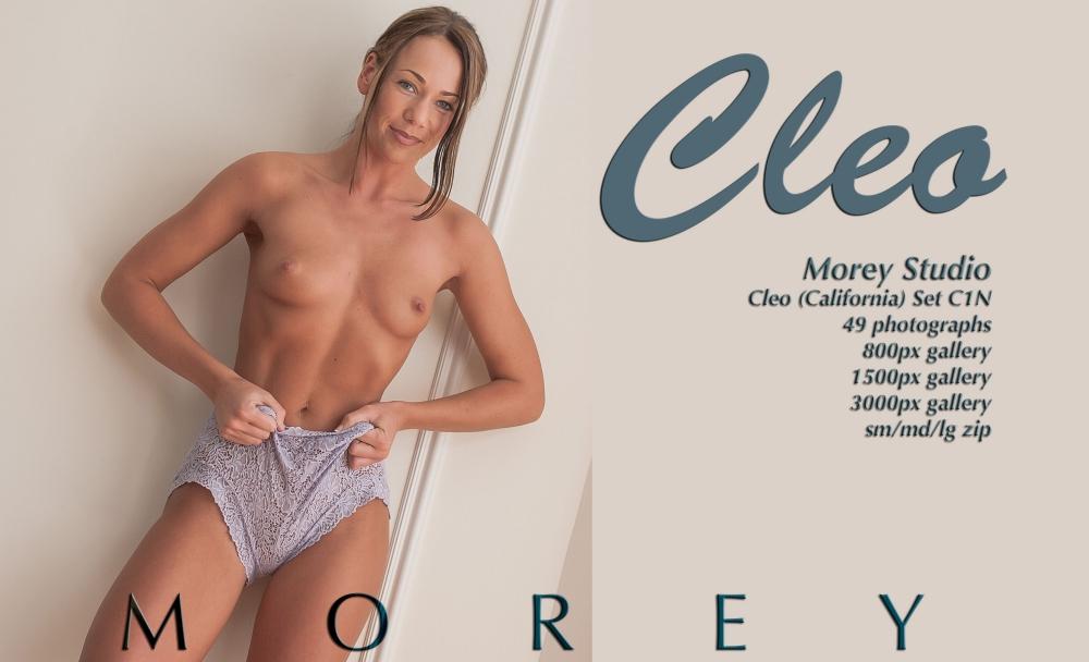La bruna Cleo vi mostra il suo corpo nudo
 #60621559