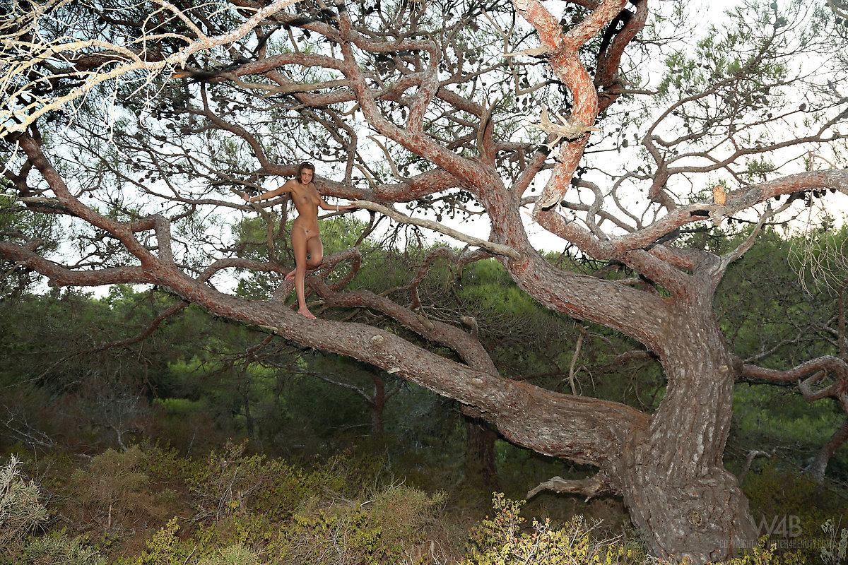 ブルネットモデルのmasha eは、木の上でファックしたいと思っているセクシーなリスです。
 #59433032