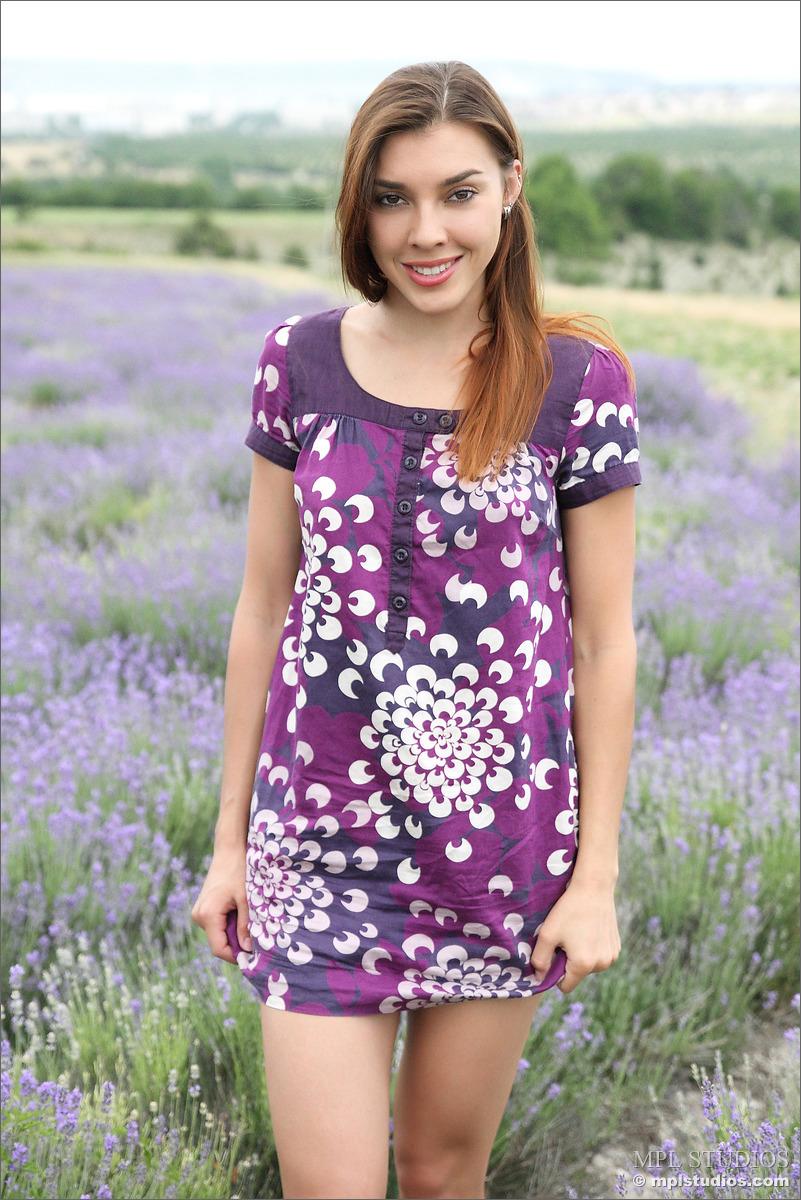Mpl studios presenta sabrina in "lavender fields
 #60634583