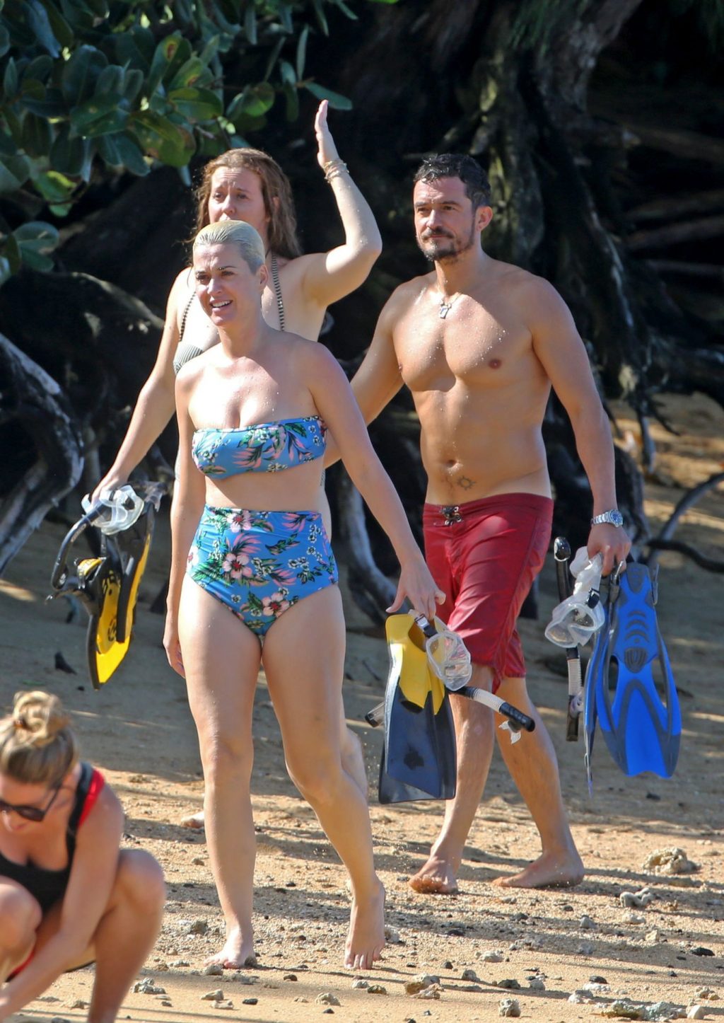 Katy perry bikini
 #79554201