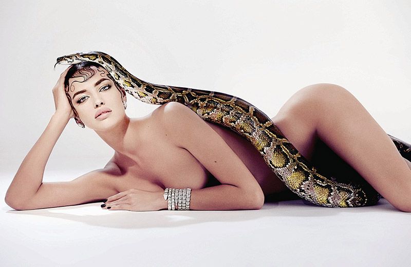 Irina shayk snake pic
 #79623614