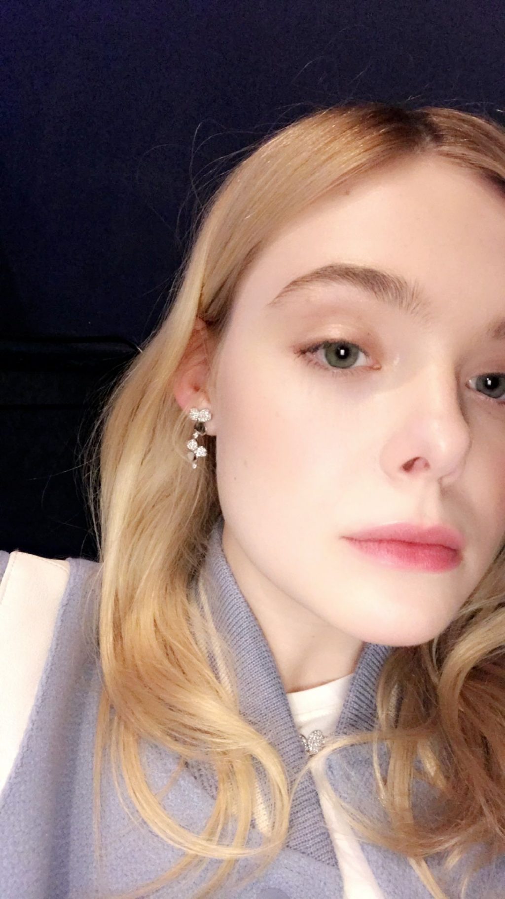 Elle Fanning Leaked #79528688