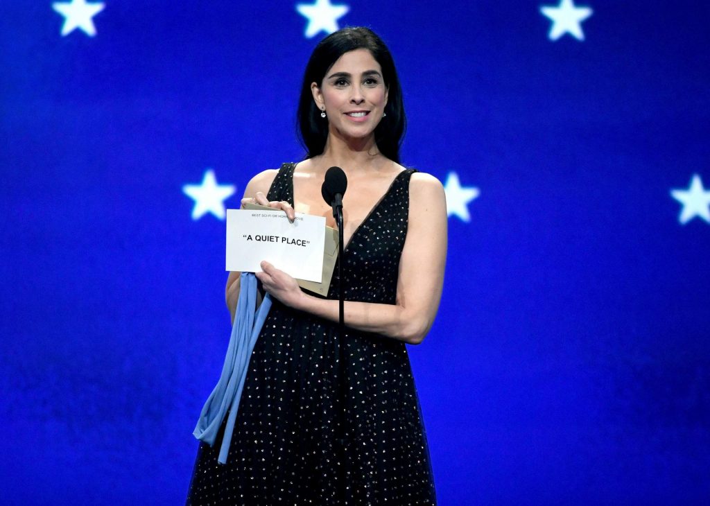 Sarah Silverman Cleavage #79591186