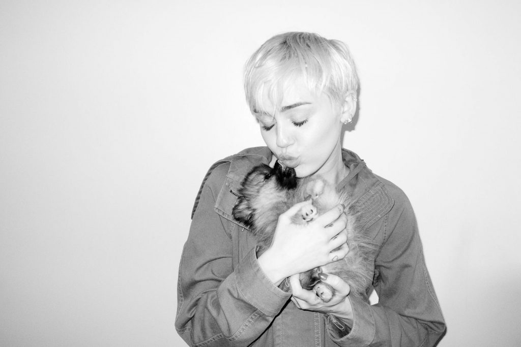 Miley cyrus（マイリーサイラス）のリークはインターネットを壊すだろう
 #79629549