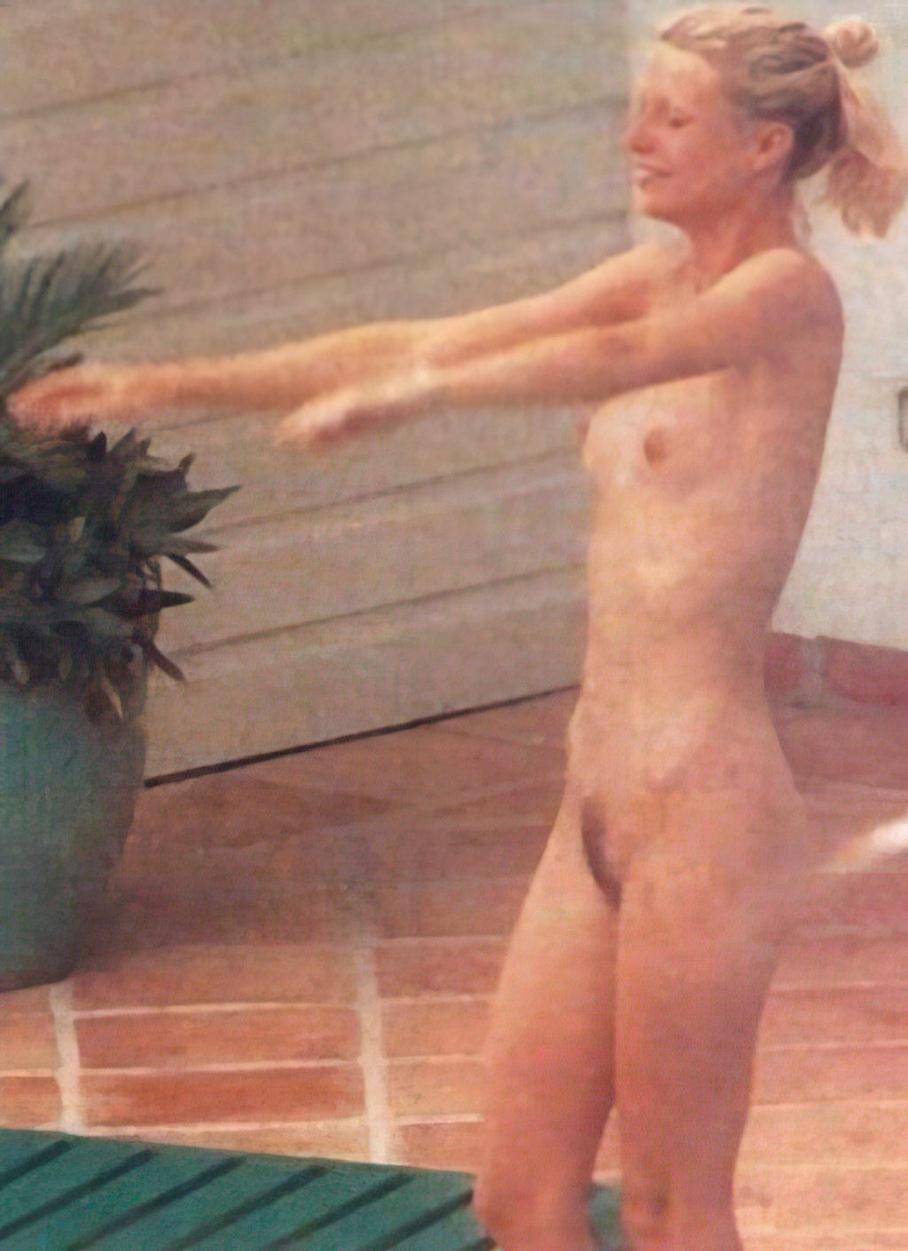 Gwyneth Paltrow Naked #79535771