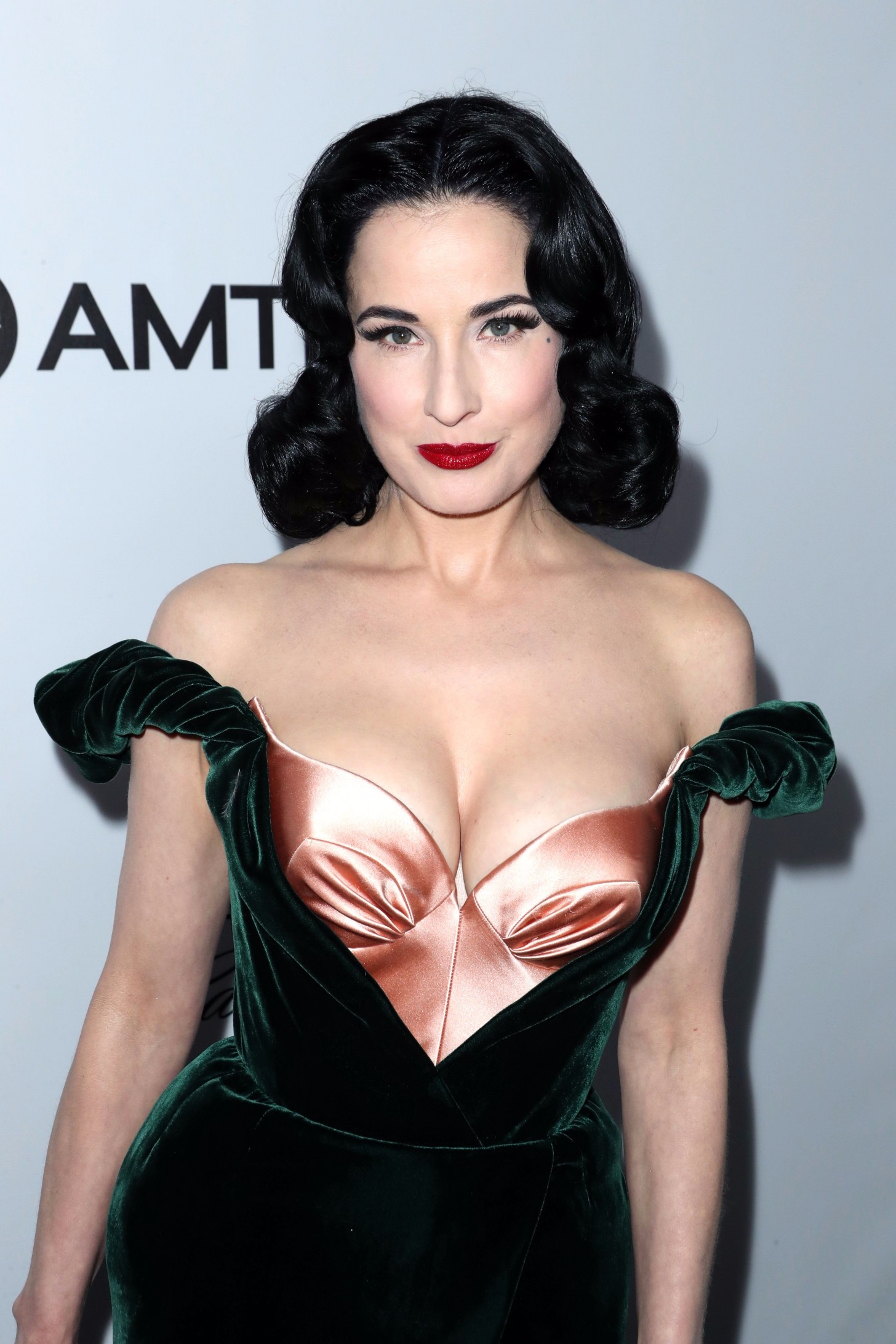 Dita von teese sexy
 #79608794