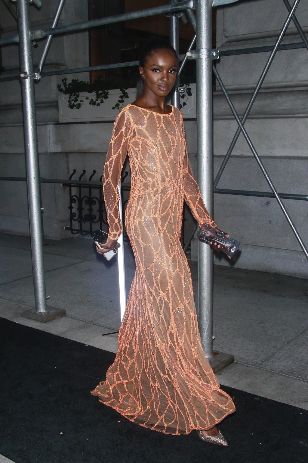 Leomie Anderson See-Through #79560981