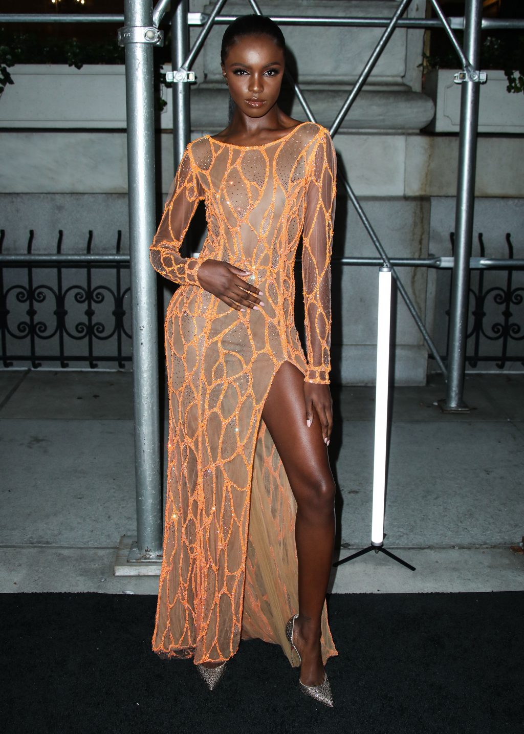 Leomie anderson vedere attraverso
 #79560985